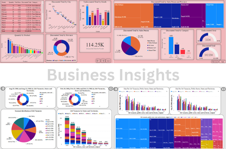 Business Insights Design for Digital agency SoluteHut.